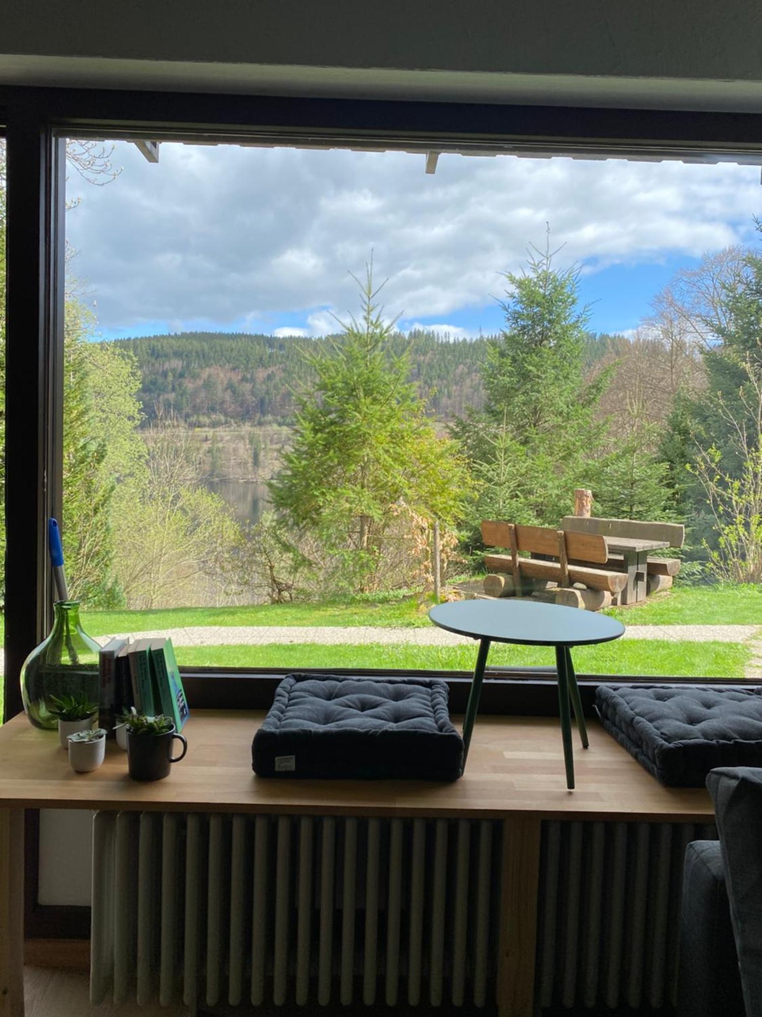 Black Forest Apartments Titisee Luaran gambar